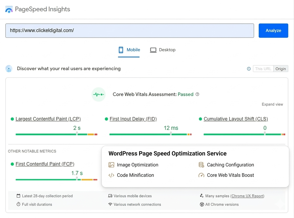WordPress Page Speed Optimization Service